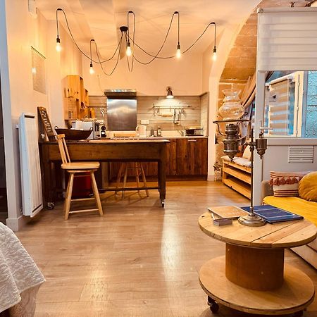 La Chaumière, studio, authentique, fibre, BedinShop Romans-sur-Isère Extérieur photo
